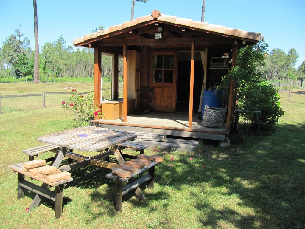 Gite Foret Landaise Sainte-Eulalie-en-Born Ngoại thất bức ảnh