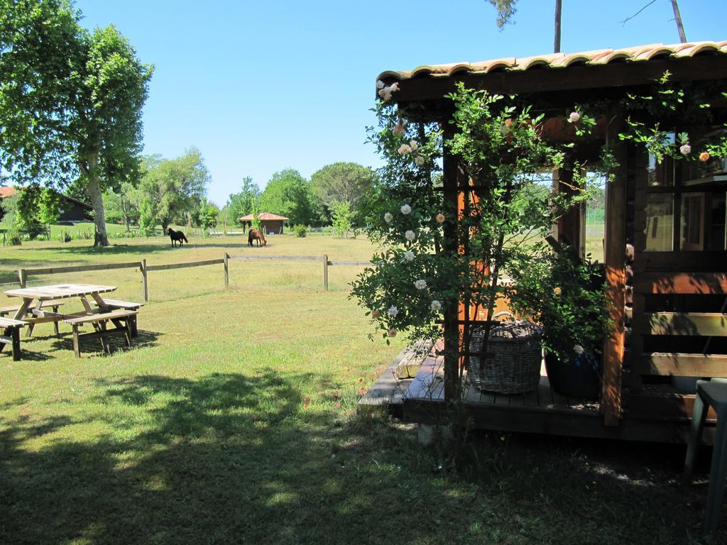 Gite Foret Landaise Sainte-Eulalie-en-Born Ngoại thất bức ảnh