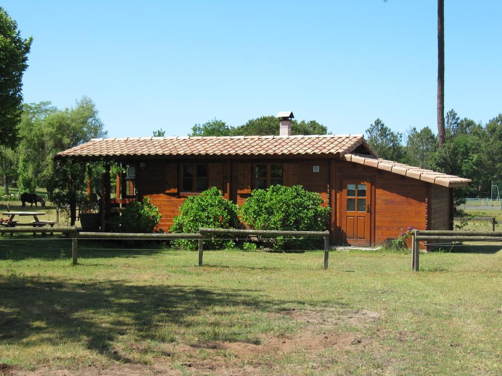 Gite Foret Landaise Sainte-Eulalie-en-Born Ngoại thất bức ảnh