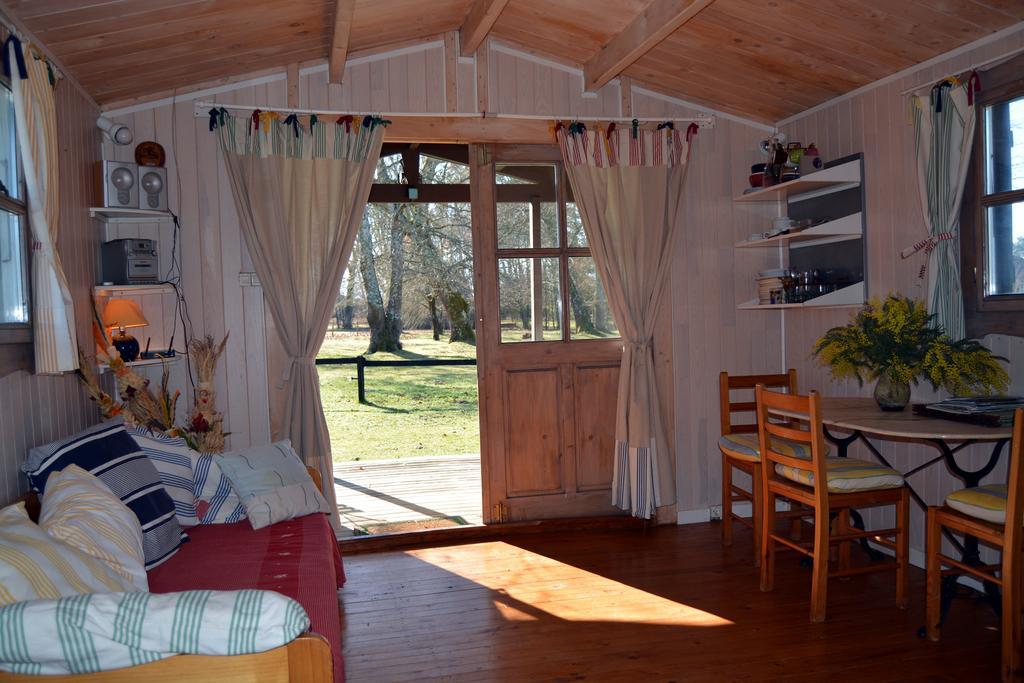 Gite Foret Landaise Sainte-Eulalie-en-Born Ngoại thất bức ảnh
