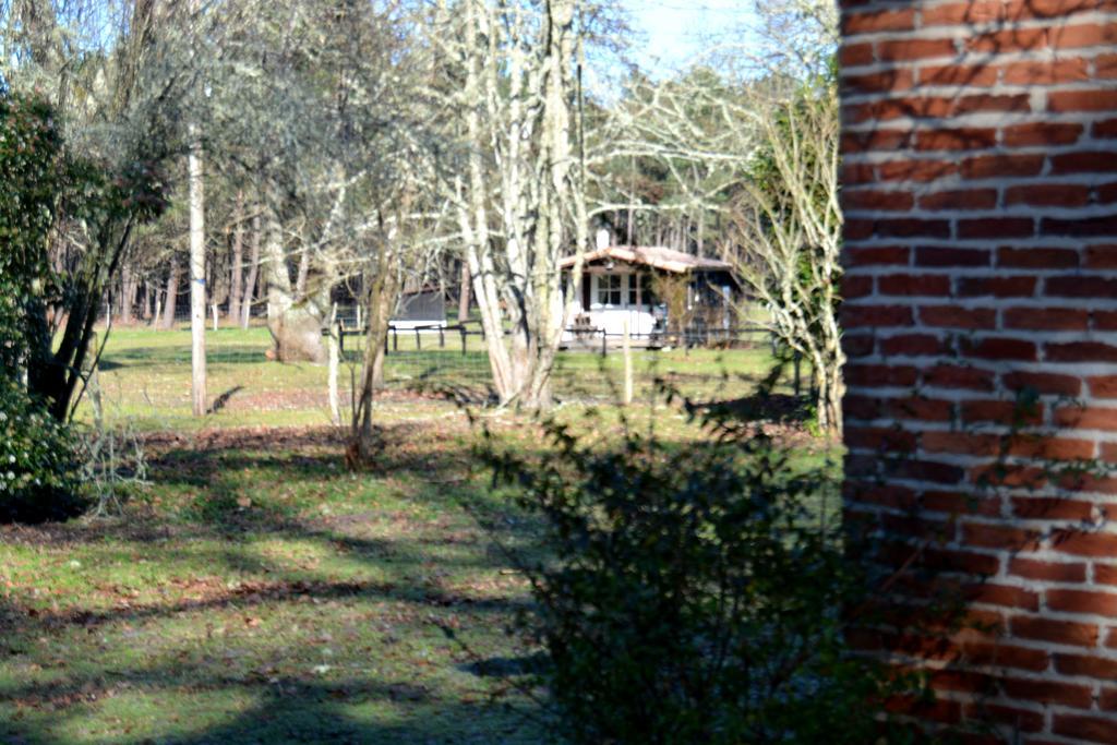 Gite Foret Landaise Sainte-Eulalie-en-Born Ngoại thất bức ảnh